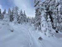 Krakonoš a skialpinisti vládnou horám